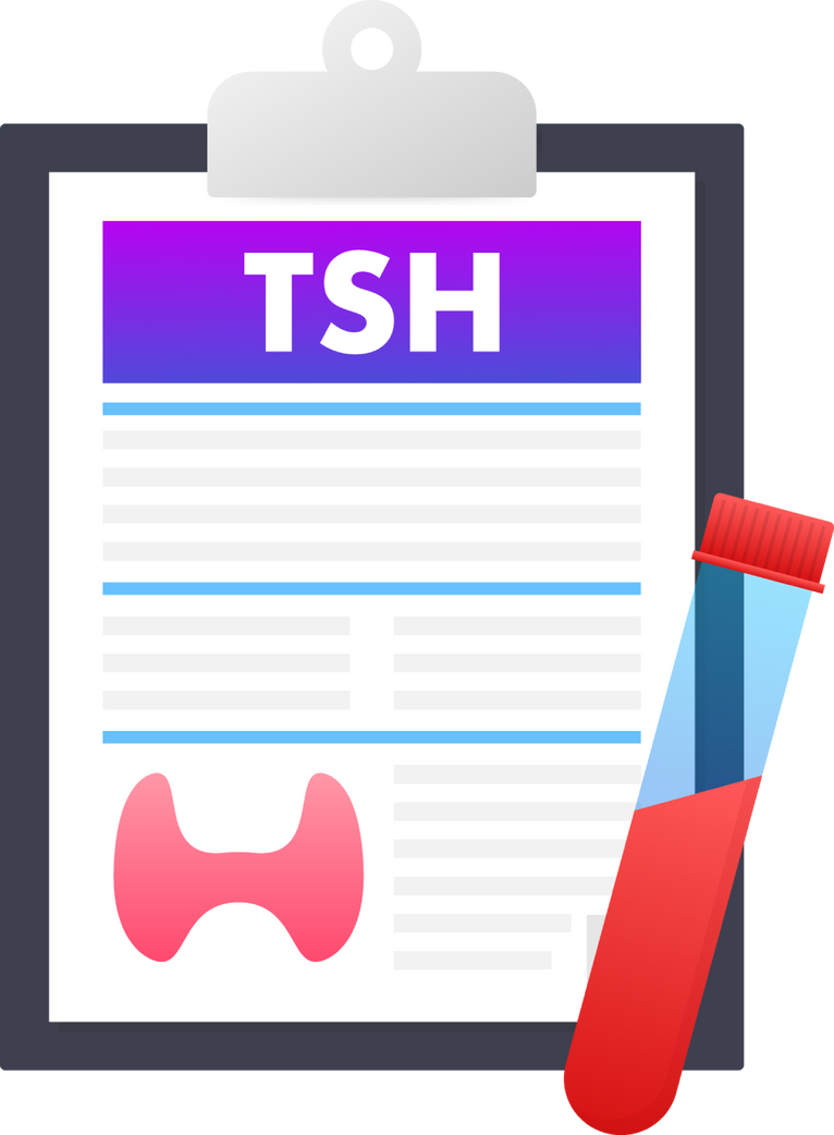 Anatomy of the thyroid gland, Thyroid of a human. Infographic for medical design. Vector illustration